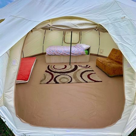 Camping La Foisor トゥルダ エクステリア 写真