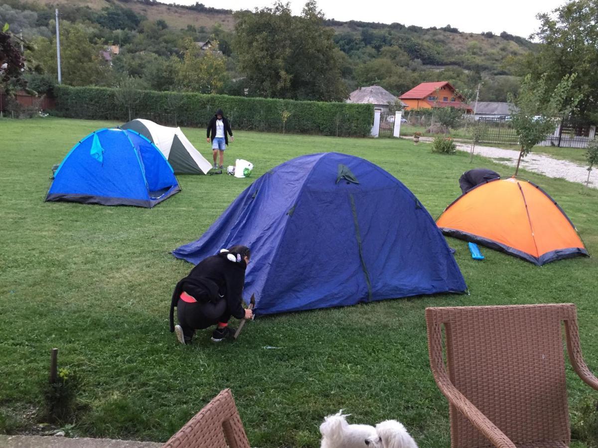 Camping La Foisor トゥルダ エクステリア 写真