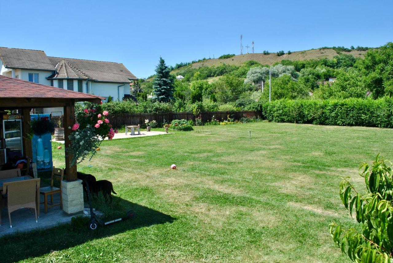 Camping La Foisor トゥルダ エクステリア 写真